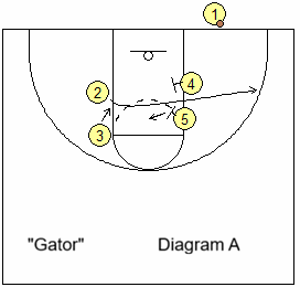 Box-Gator
